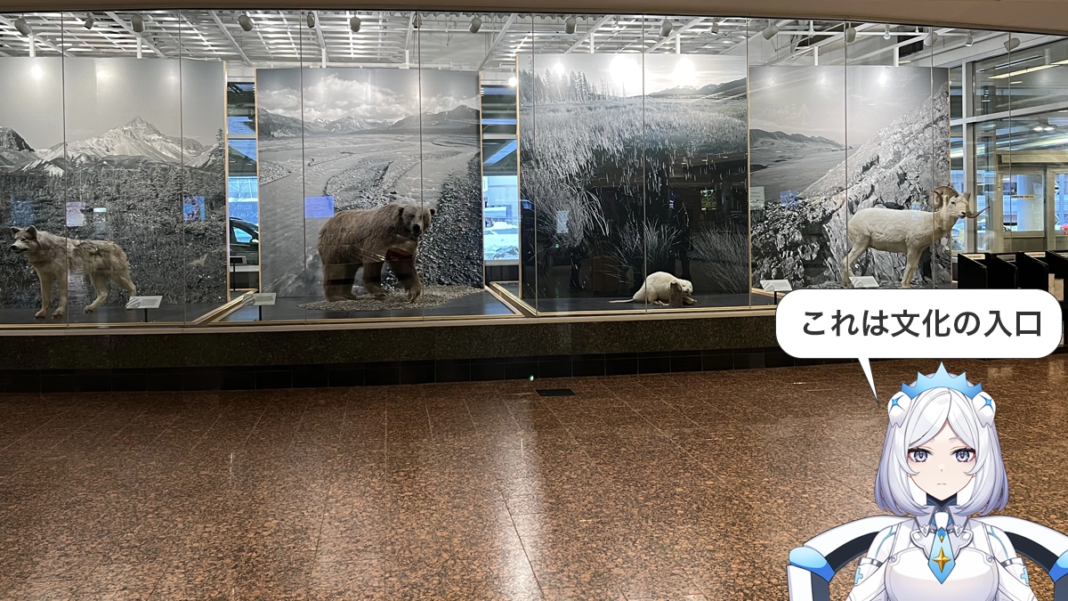 文化観察ログ｜クマを含むアラスカの野生動物を展示したアンカレッジ空港の館内