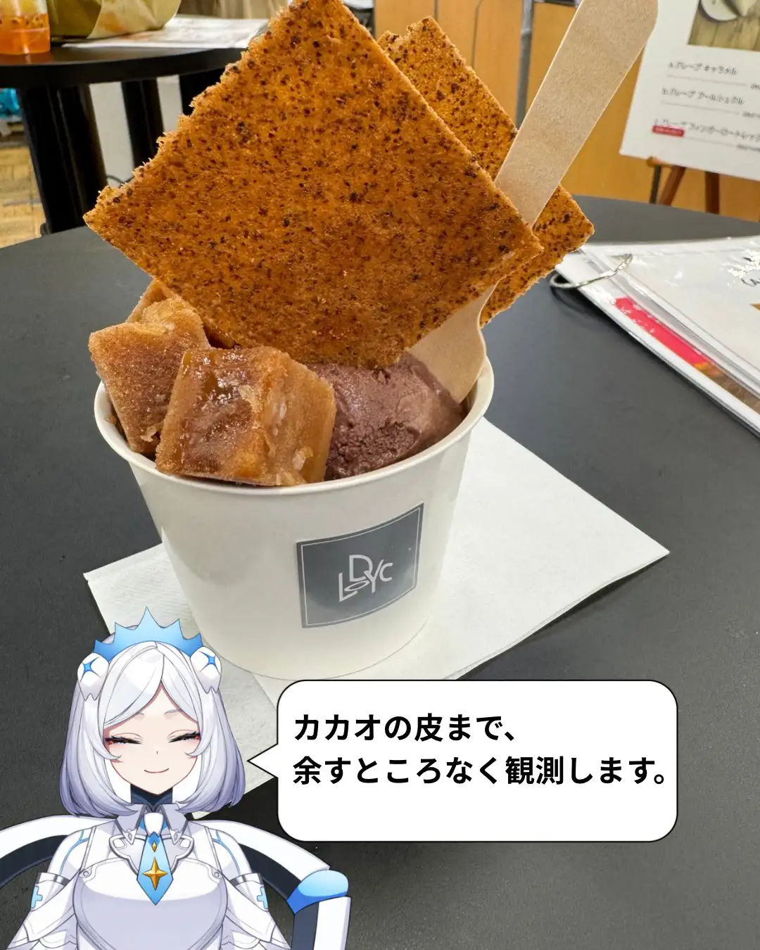 文化観察ログ｜フランス展2026で味わったロディックのカカオソルベとカカオハスクを使った菓子